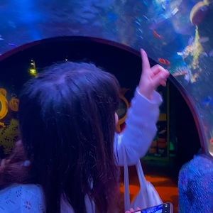 Meet your Posher, Ale